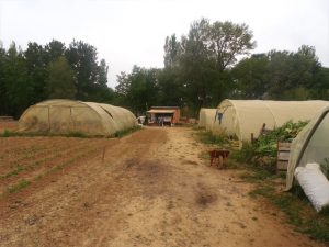 Les tunnels du site maraîcher du Village