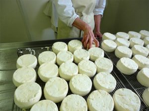 @Ferme de l'Escaillon : les fromages