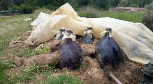 les bonbonnes sous la bache