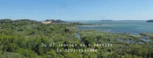 Le Marais du Vigueirat s'ouvre aux Journées mondiales des zones humides Bleu Tomate