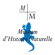 logo Museum Marseille