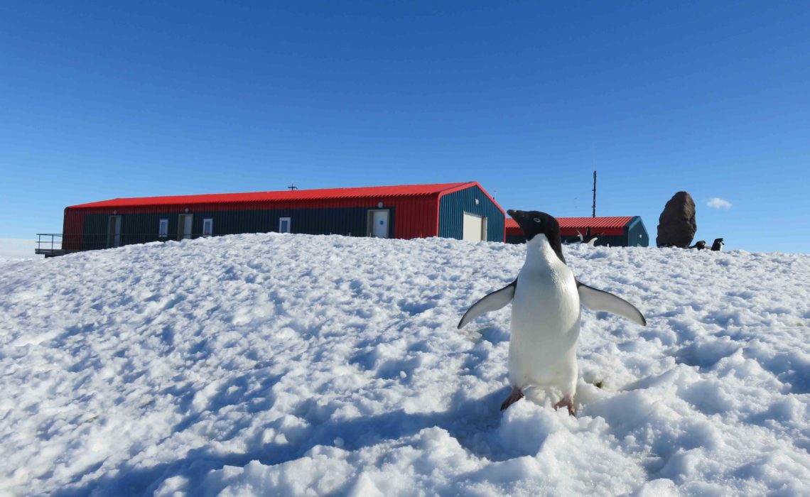 DDU Terre Adelie Antarctique