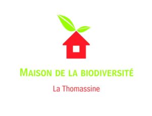 la Thomassine accueille des stage apiculture