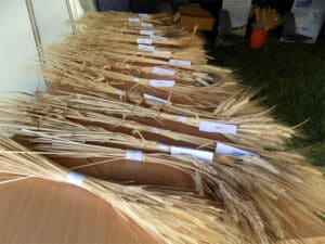 rencontre paysan boulanger