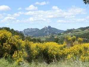 les Dentelles de Montmirail-André Cerdan