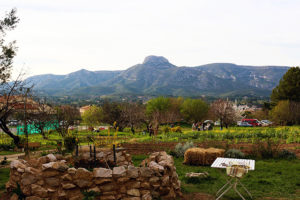 À Aubagne, Jardilien fête ses 20 ans Bleu Tomate le mag