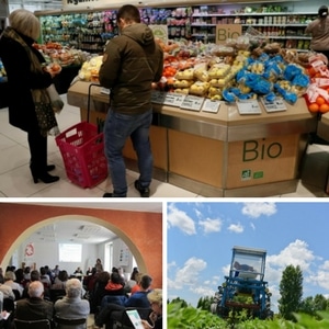 Bio Provence organise une table ronde