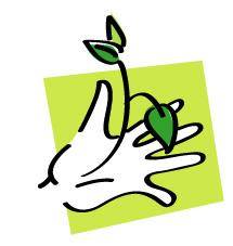Jardinage écologique # 1 : concevoir & démarrer son potager Bleu Tomate le mag