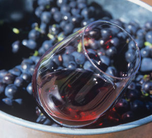 Hors Les Vignes, le festival vins, cuisines & arts revient ! Bleu Tomate le mag