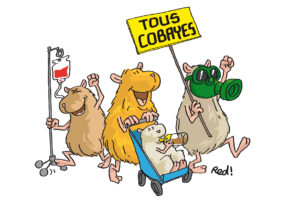 dessin Tous cobayes