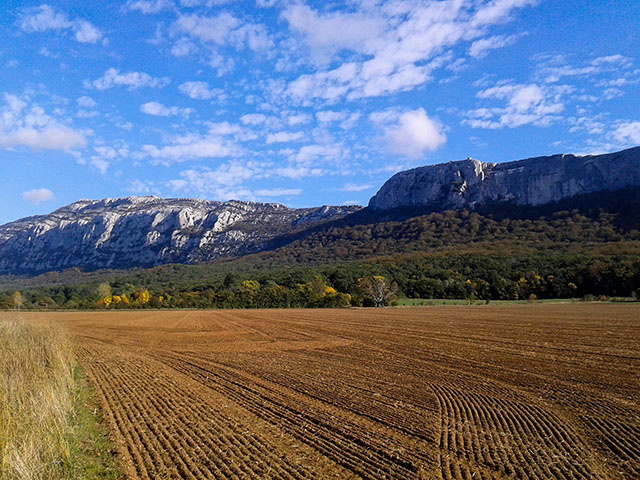 Fête d'inauguration du Parc naturel régional de la Sainte-Baume Bleu Tomate le mag