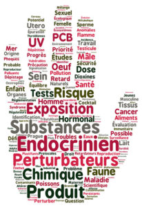 Perturbateurs endocriniens, quels risques pour la santé ? Bleu Tomate le mag