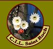 logo CIL St Roch Toulon