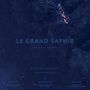 le grand saphir à la soirée "Nous avons un message" à Salon-de-Provence