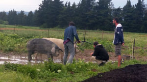 Cédric et Nico sont dans le collectif paysan du Pays des Sorgues