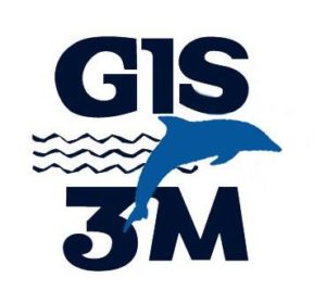 LOGO GIS3M