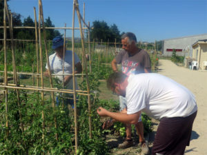 aux Jardins, on s'affaire et on communique