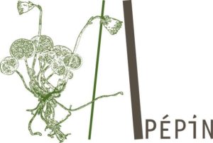 Hélène Pépin commente la balade au Parc Pastré