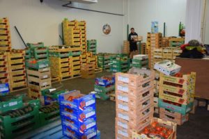 Box producteurs au MIN de Cavaillon