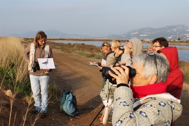 LPO PACA organise des sorties grand public