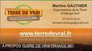 logo Terre de Vrai Orange