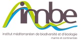 logo IMBE