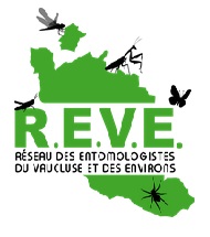 logo asso REVE