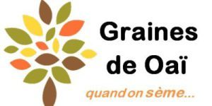 logo asso Graines de Oaî