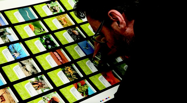 Bioviva est installée à Montpellier