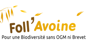logo Foll'Avoine 2019