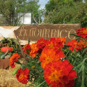 l'Oasis de la Nourrice organise un chantier participatif