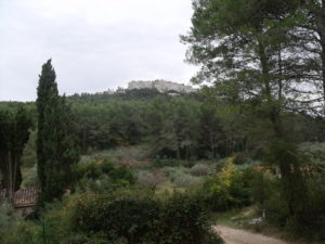 vallon de la Lèque, forêt de Fontvieille