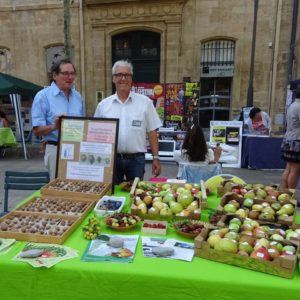 logo croqueurs de pommes Aix