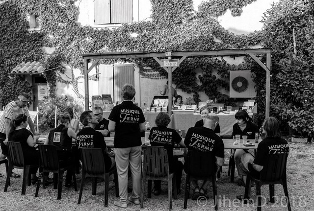 le festival de musique dans les champs