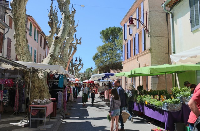 Ecoscience sur le marché de Garéoult