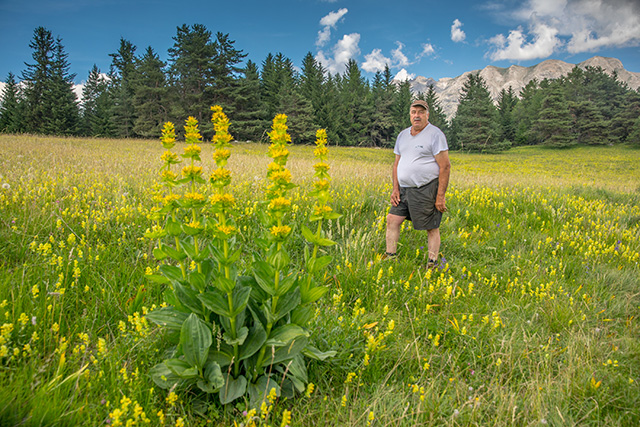 agro-ecologie