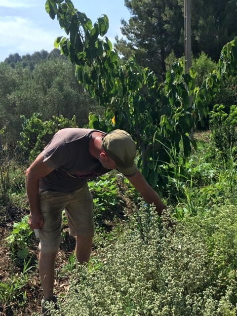 JB Anfosso, engagé pour la vie en permaculture