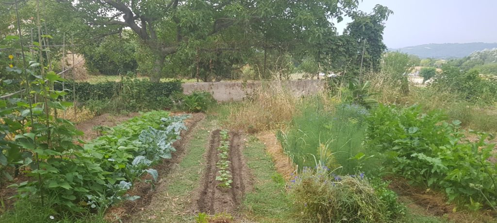 Jardin potager de Blaise Leclerc