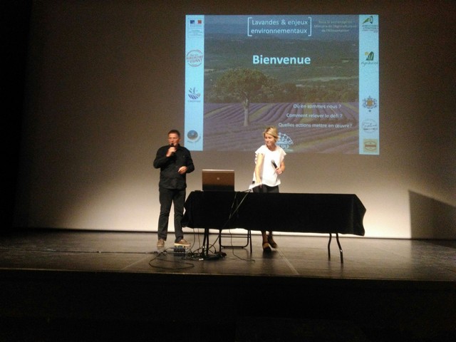 lavandes de Provence en conférence