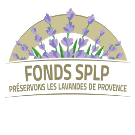 logo du Fonds Sauvegarde Patrimoine Lavandes de Provence