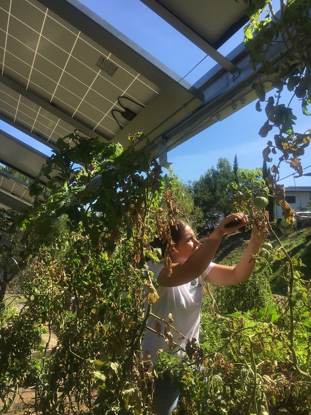 Ateliers jardinage chez Ombrea