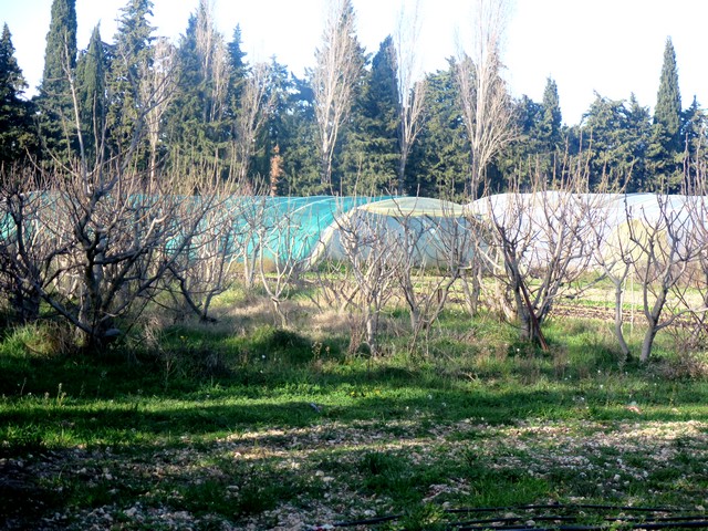 la Folie à Lagnes