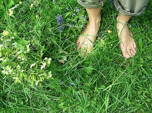 La balade des fleurs à Rognes