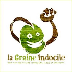 logo la Graine Indocile