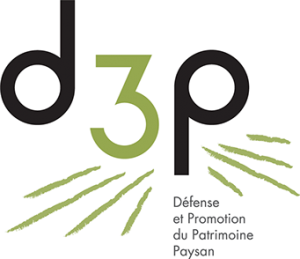 logo de l'asso d3p