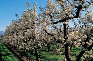 La profession d'agriculteur est surreprésentée parmi les nouveaux cas