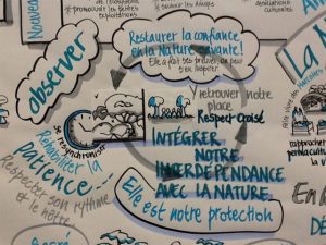 la permaéconomie en fresque par l'Institut INSPIRE