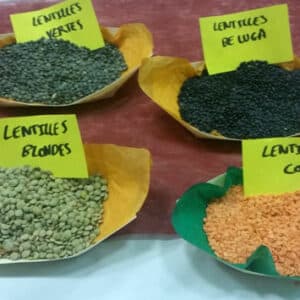 les légumineuses au hit parade d'une bonne alimentation