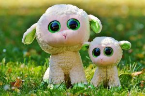 moutons laine chaussettes transhumance