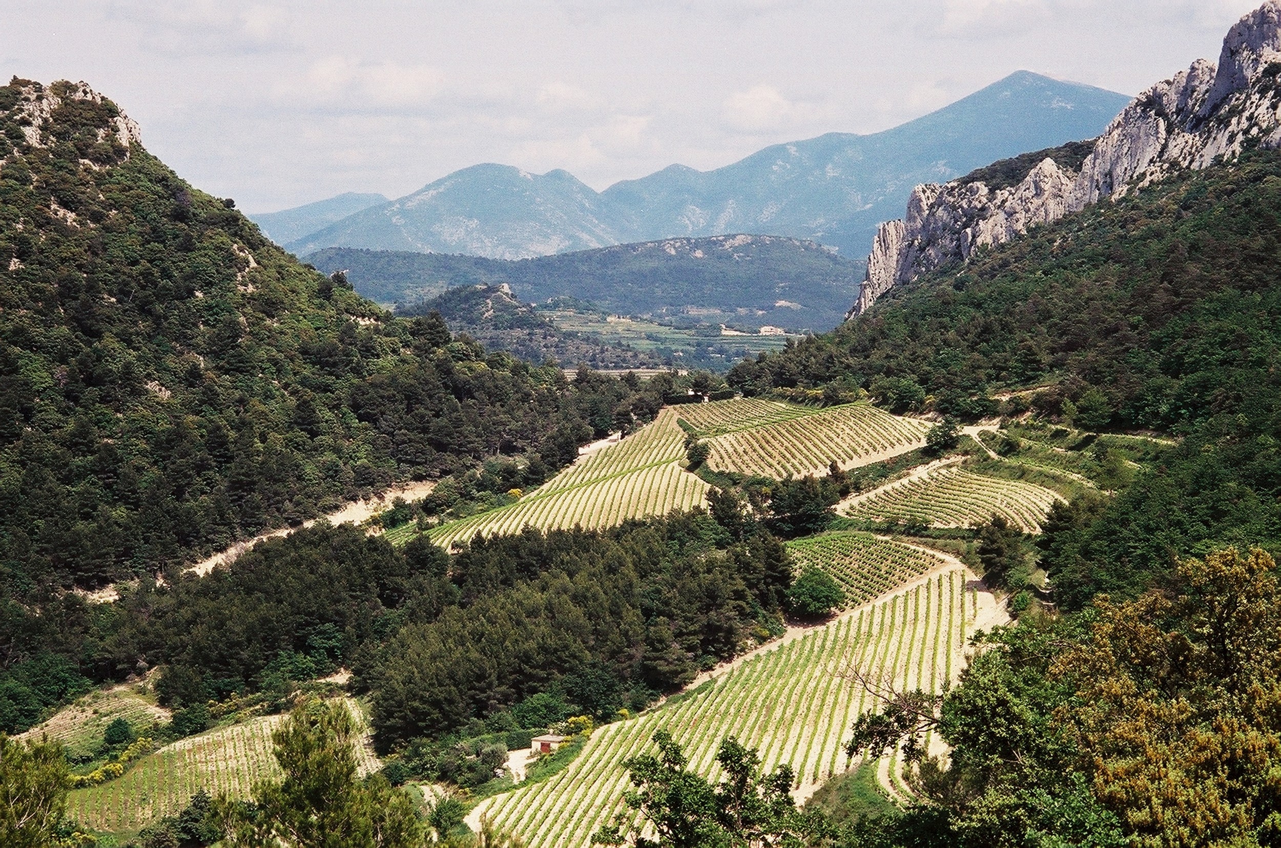 Vignerons Côtes du Rhône